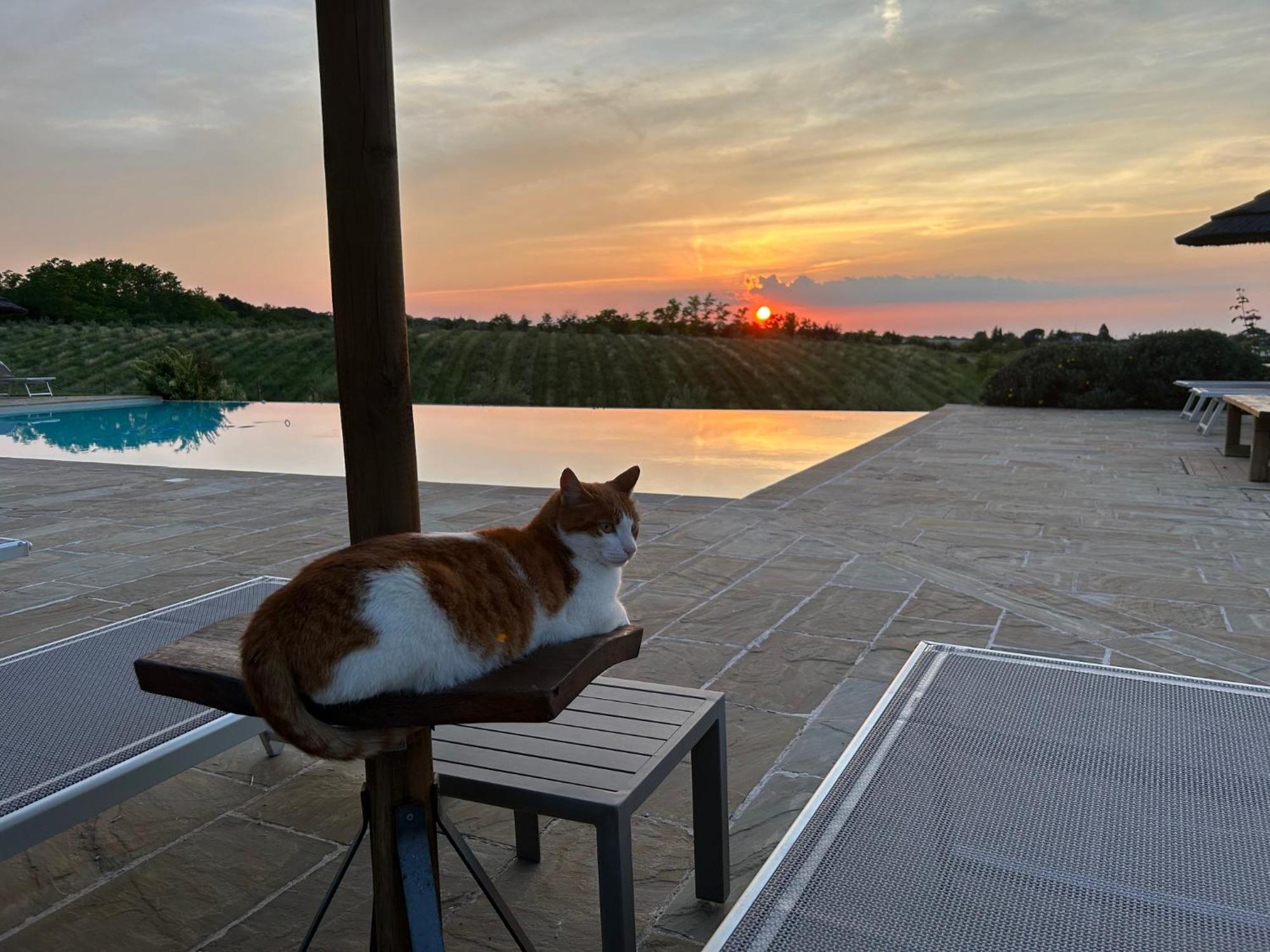 Agriturismo La Rinaldina Faenza Exteriér fotografie