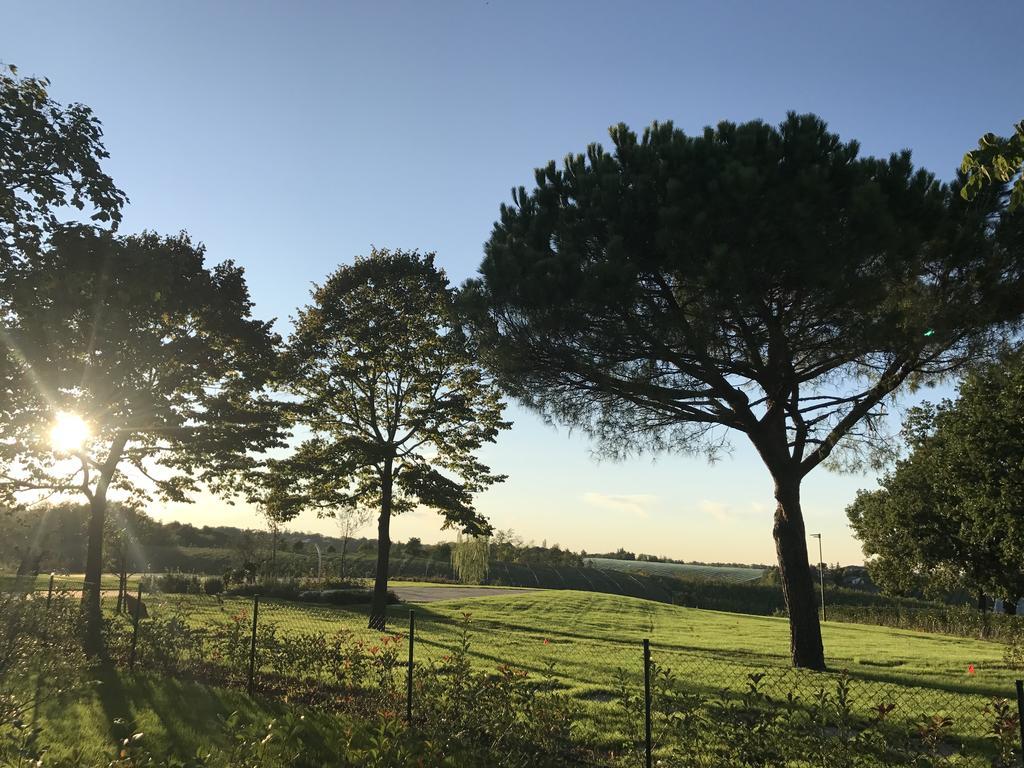Agriturismo La Rinaldina Faenza Exteriér fotografie