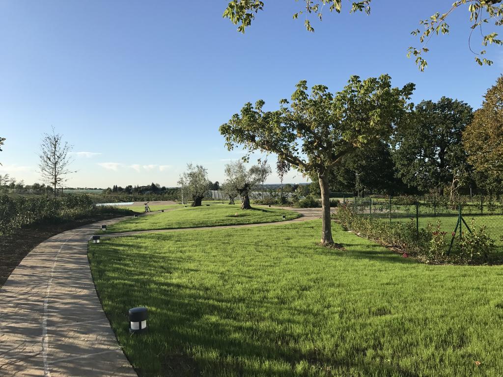 Agriturismo La Rinaldina Faenza Exteriér fotografie