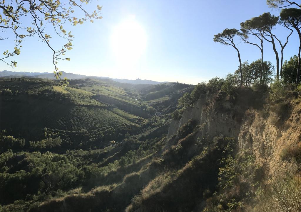 Agriturismo La Rinaldina Faenza Exteriér fotografie