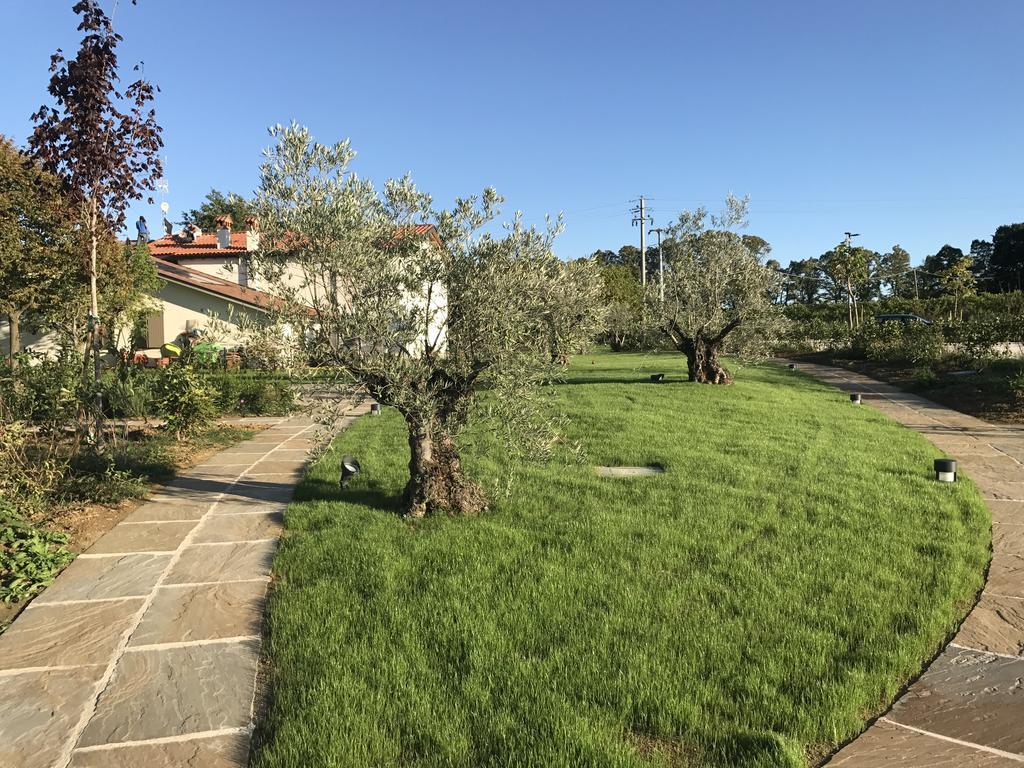 Agriturismo La Rinaldina Faenza Exteriér fotografie