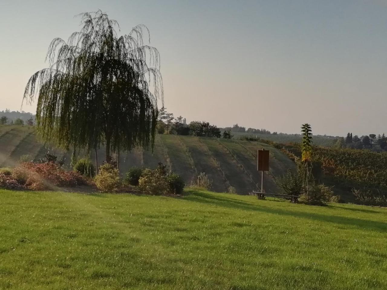 Agriturismo La Rinaldina Faenza Exteriér fotografie